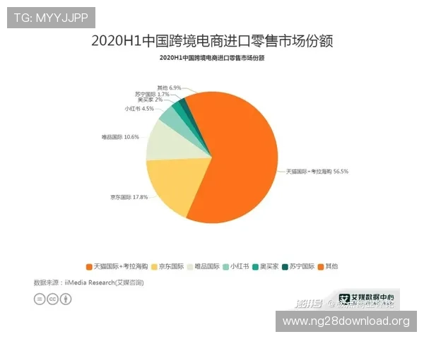 南宫国际站如何打造高效的跨境电商平台满足多样化国际市场需求